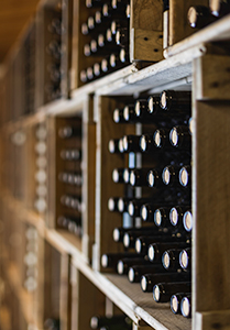 Category Learning Module - Alcohol